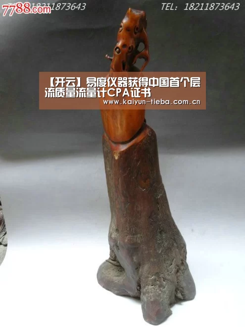 开云App下载