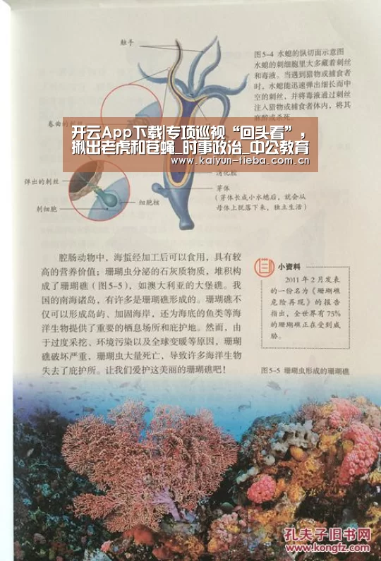 开云App下载|专项巡视“回头看”,揪出老虎和苍蝇_时事政治_中公教育网(图1) 开云App下载