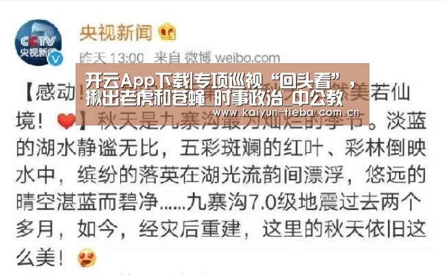 开云App下载|专项巡视“回头看”,揪出老虎和苍蝇_时事政治_中公教育网(图3) 开云App下载
