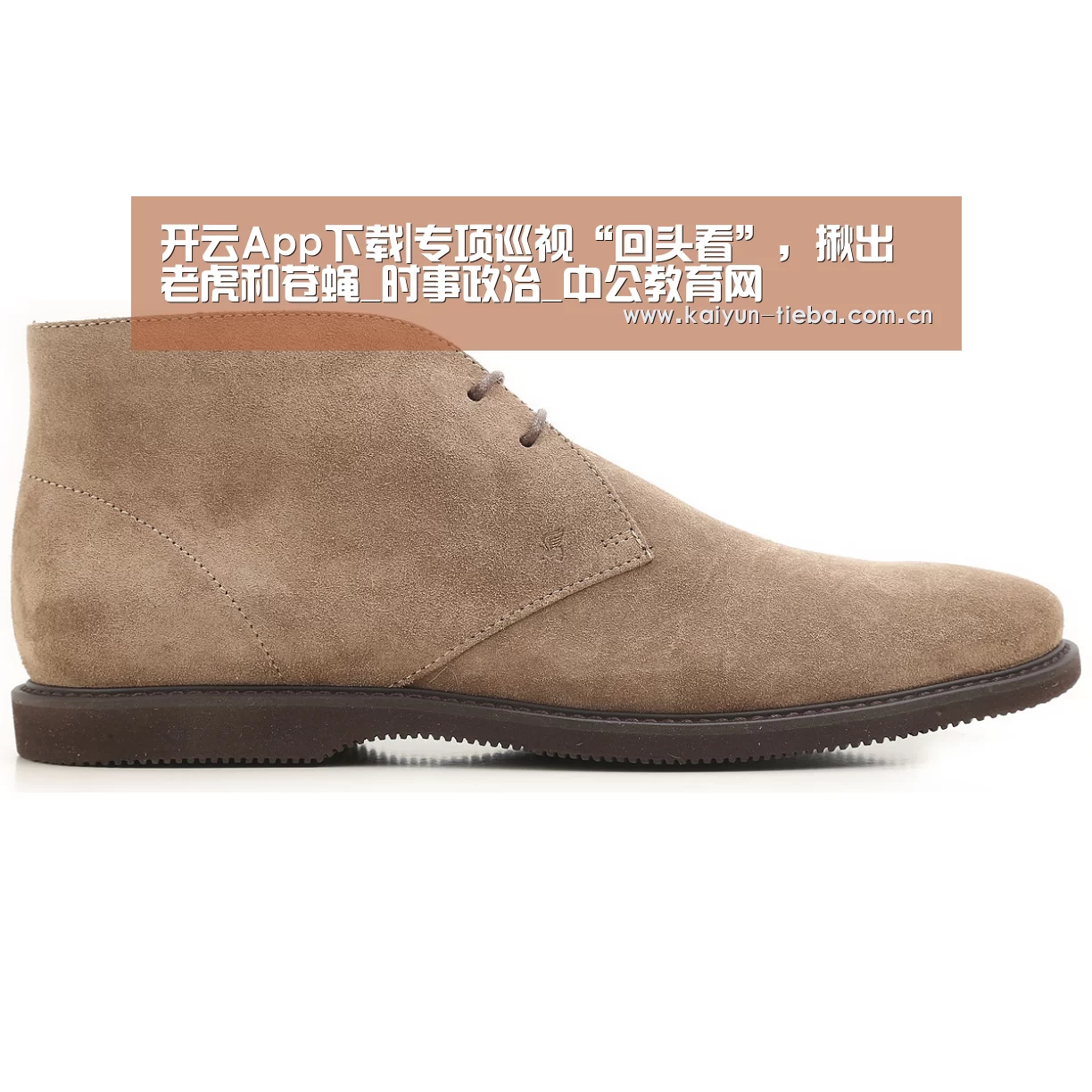 开云App下载|专项巡视“回头看”,揪出老虎和苍蝇_时事政治_中公教育网(图4) 开云App下载
