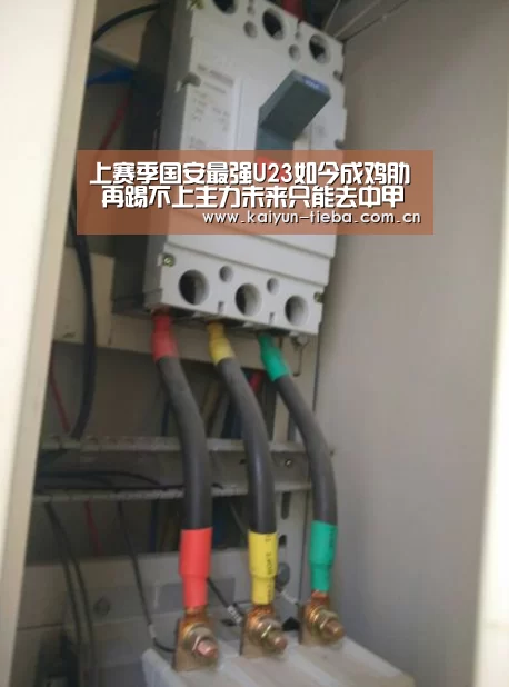 上赛季国安最强U23如今成鸡肋 再踢不上主力未来只能去中甲“开云App下载”(图2) 开云
